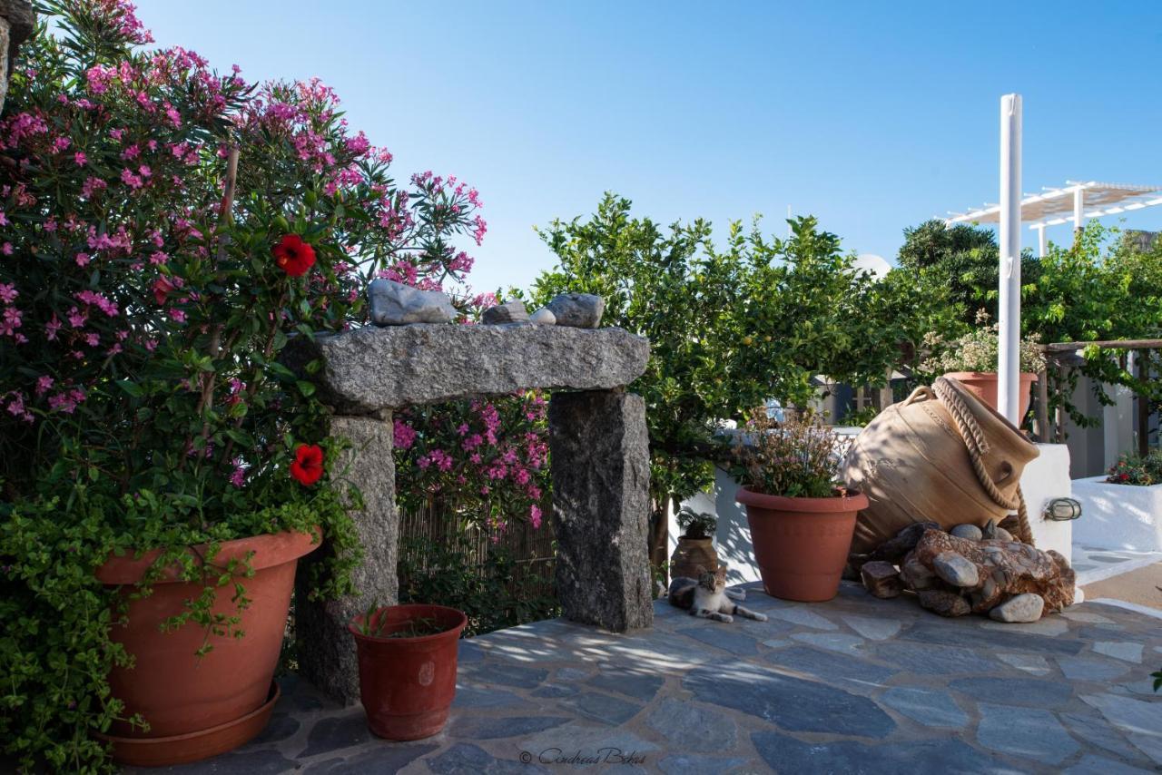 Xydakis Apartments Mykonos Town Εξωτερικό φωτογραφία